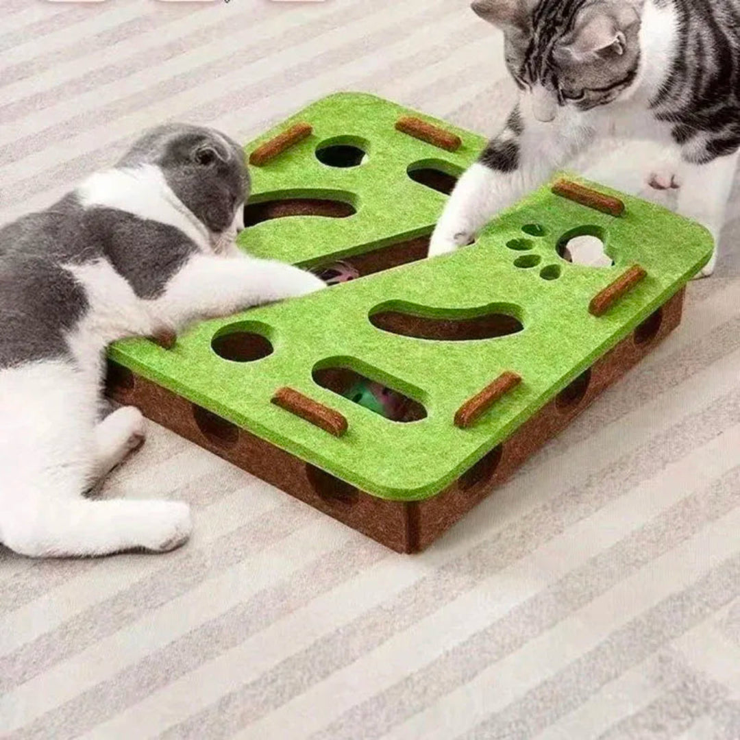 Interactive Cat Puzzle Toy Set