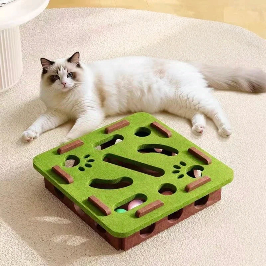 Interactive Cat Puzzle Toy Set